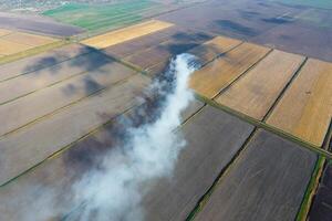 The burning of rice straw in the fields. Smoke from the burning of rice straw in checks. Fire on the field photo