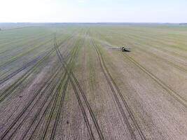 Tractor with hinged system of spraying pesticides. Fertilizing with a tractor, in the form of an aerosol, on the field of winter wheat. photo