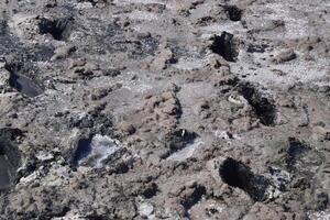 Traces of human feet in the salt lake  mud photo