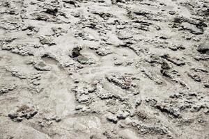 The crust of salt on the bottom  the curative mud dry lake photo
