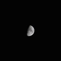 el Luna en el noche cielo foto