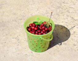 cerezas en un el plastico verde balde. maduro rojo dulce Cereza foto