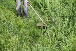 Application trimmers. Mowing green grass using a fishing line trimmer photo