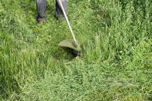 solicitud recortadoras. siega verde césped utilizando un pescar línea recortadora foto