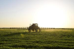 tractor en el puesta de sol antecedentes. tractor con alto ruedas es haciendo fertilizante en joven trigo. el utilizar de finamente disperso rociar productos quimicos foto