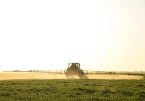 tractor en el puesta de sol antecedentes. tractor con alto ruedas es haciendo fertilizante en joven trigo. el utilizar de finamente disperso rociar productos quimicos foto