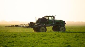 tractor en el puesta de sol antecedentes. tractor con alto ruedas es haciendo fertilizante en joven trigo. foto