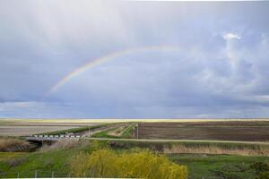 Rainbow, a view of the landscape in the field. Formation of the photo