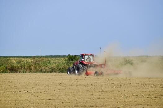 Tractor with a grader aligns the soil on the field. The tractor raised dust. photo
