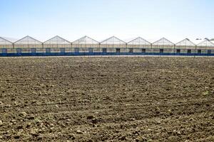 Polycarbonate greenhouses. Greenhouse complex. Greenhouses for growing vegetables under the closed ground photo