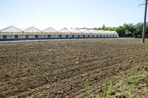 Polycarbonate greenhouses. Greenhouse complex. Greenhouses for growing vegetables under the closed ground photo