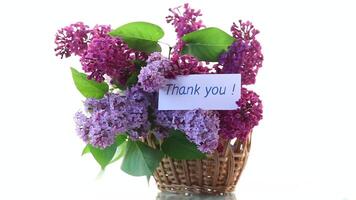 bouquet of different blooming spring lilacs in basket isolated on white background video