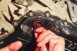 Oil change in automatic transmission. Filling the oil through the hose. Car maintenance station. Red gear oil. The hands of the car mechanic in oil photo