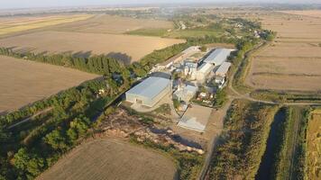 Rice plant. Hangar for storage of grain. A platform for drying and sintering grain. Harvested grain photo