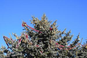 Decorations New Year tree. Tinsel and toys, balls and other decorations on the Christmas Christmas tree standing in the open air. photo