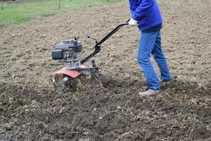 plantando patatas debajo el con operador a pie tractor foto