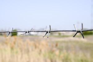 Barbed wire. Barbed wire fencing. The constraint symbol. photo