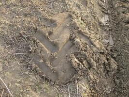 The traces left by the wheels of the tractor tread photo