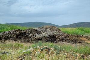 Piles of manure in field. Cow and horse manure with land. photo