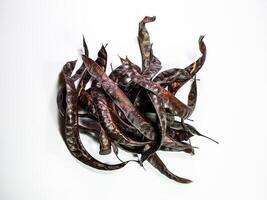 Gleditsia triacantnos, pods on white background photo