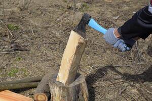 Chopping wood with an ax photo