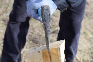 Chopping wood with an ax photo