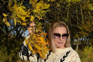 Girl in sunglasses. Girl on a background of yellow leaves of autumn trees. Autumn photo session.