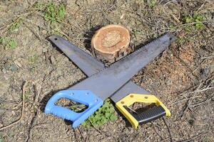 Two saws hacksaws lie across. Garden tool saw. photo