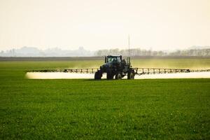 tractor con el ayuda de un rociador aerosoles líquido fertilizantes en joven trigo en el campo. foto