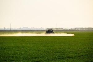 tractor con el ayuda de un rociador aerosoles líquido fertilizantes en joven trigo en el campo. foto