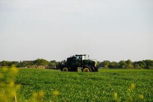 tractor with the help of a sprayer sprays liquid fertilizers on young wheat in the field. photo