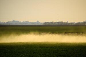 Jets of liquid fertilizer from the tractor sprayer. photo