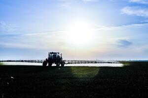 tractor con el ayuda de un rociador aerosoles líquido fertilizantes en joven trigo en el campo. foto