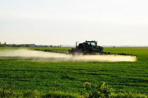 tractor con el ayuda de un rociador aerosoles líquido fertilizantes en joven trigo en el campo. foto