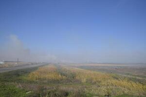 Landscape burning field. The burning of rice straw in the fields. Rice paddies photo