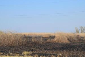 Burned grass along the route photo