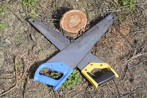 Two saws hacksaws lie across. Garden tool saw. photo