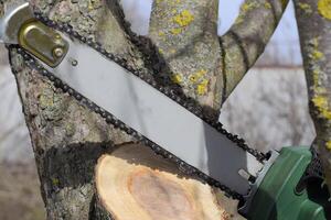 sawn electric sawing tree photo