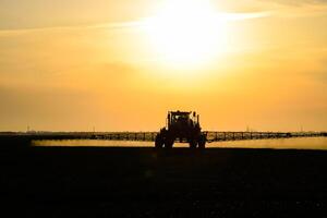 tractor with the help of a sprayer sprays liquid fertilizers on young wheat in the field. photo