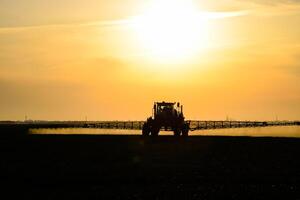 tractor con el ayuda de un rociador aerosoles líquido fertilizantes en joven trigo en el campo. foto