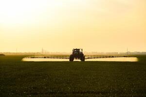tractor with the help of a sprayer sprays liquid fertilizers on young wheat in the field. photo