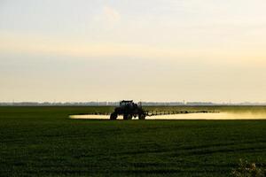 tractor with the help of a sprayer sprays liquid fertilizers on young wheat in the field. photo