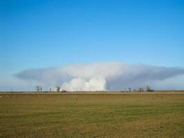 A pillar of smoke from burning rice straw on the field. photo