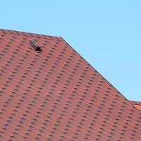 Decorative metal tile on a roof photo