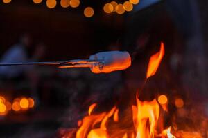 Golden Brown Marshmallow Roasting Over a Fire, in Copenhagen. photo