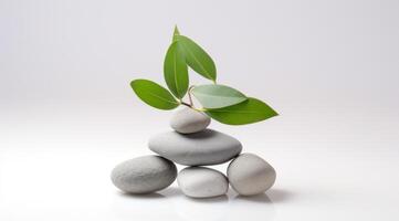 AI generated a bunch of stones, a green plant, and a white background photo