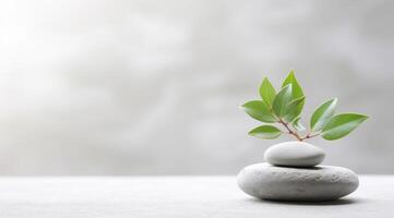 ai generado un manojo de piedras, un verde planta, y un blanco antecedentes foto