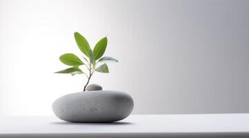 ai generado un manojo de piedras, un verde planta, y un blanco antecedentes foto