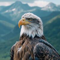 AI generated a bald eagle in front of snowy mountains. photo