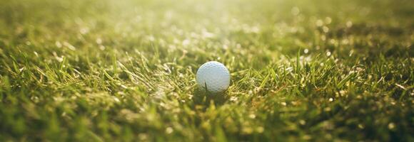 ai generado un golf pelota en césped en un soleado día, en el estilo de rayos de sol brillar sobre él. foto